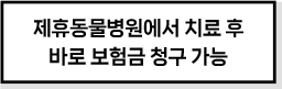 제휴동물병원에서 치료 후 바로 보험금 청구 가능