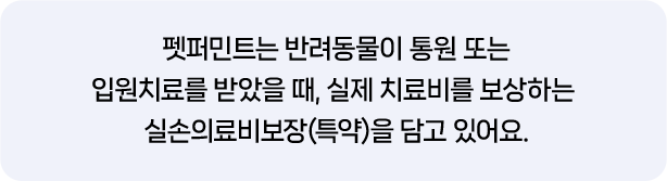 펫퍼민트는 반려동물이 통원 또는 입원치료를 받았을 때, 실제 치료비를 보상하는 실손의료비보장(특약)을 담고 있어요.