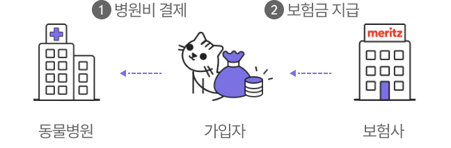 병원결제에서 동물병원과 가입자 보험금 지급에선 가입자에서 보험사
