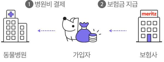 병원결제에서 동물병원과 가입자 보험금 지급에선 가입자에서 보험사