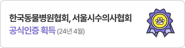 한국동물협회, 수울수의사협회 공식인증 펫보험(24년 4월)