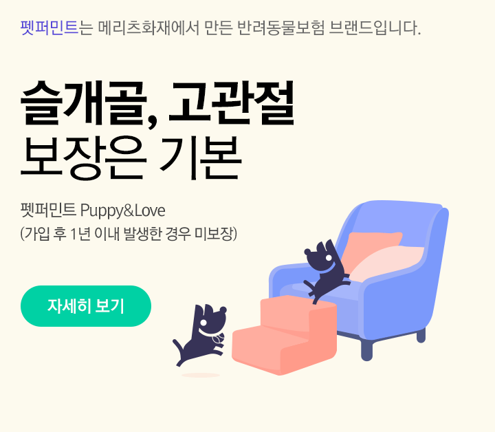 메리츠 애견보험 & 삼성화재 애견보험 장단점 종합 요약