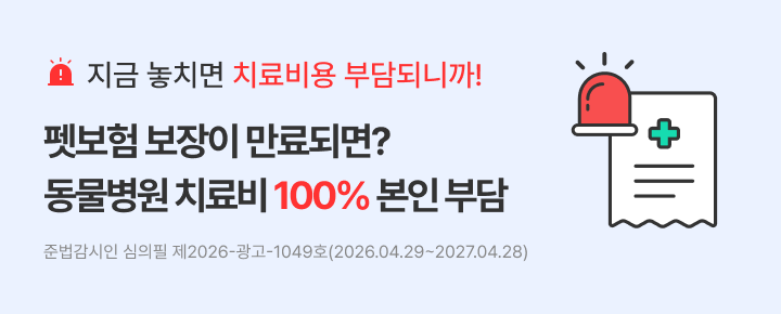 지금 놓치면 치료비 전액 본인 부담 펫보험 보장이 만료되면? 동물병원 치료비 100% 본인 부담 -준법감시인 심의필 제2026-광고-1049호(2026.04.29~2027.04.28)